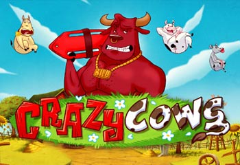 Crazy Cows