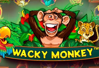 Wacky Monkey